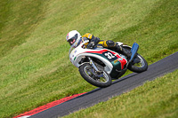 Vintage-motorcycle-club;eventdigitalimages;mallory-park;mallory-park-trackday-photographs;no-limits-trackdays;peter-wileman-photography;trackday-digital-images;trackday-photos;vmcc-festival-1000-bikes-photographs